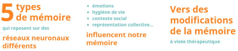memoire_3_pictos.png